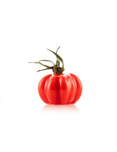 Stampo in silicone POMODORO 24
