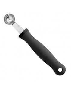 Scavino