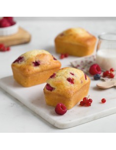 Stampo per MINI - PLUMCAKE antiaderente 2
