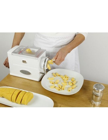 Macchina per pasta trafilata - REGINA (NEW...