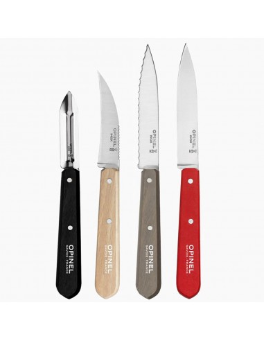Victorinox - Set di 6 coltelli da tavola con Manici Colorati : :  Casa e cucina