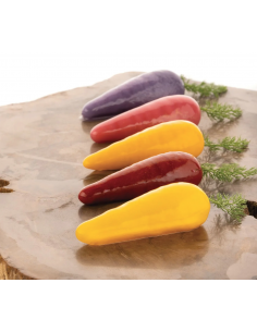 Stampo in silicone CAROTA 20 2